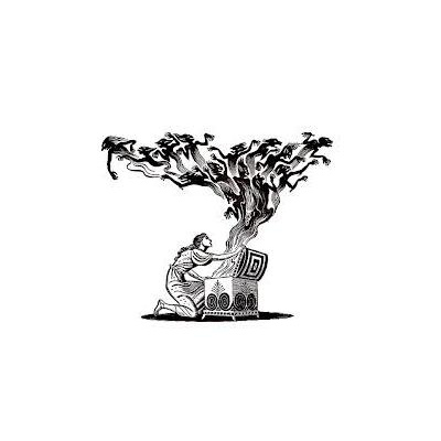 Inside Connection Radio With Sage Of Stars, Dr. Craig Martin