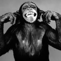 Carretera Perdida 139 - Ladrones y Monetes