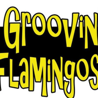 Carretera Perdida 65 - Groovin Flamingos, Baila o Muere
