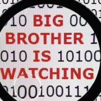 Carretera Perdida 80 - 1984