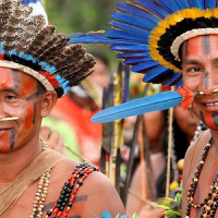 A importância da preservação das culturas tradicionais