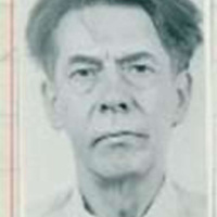 The Denver Spiderman