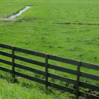 DTD: 313 - is Josh Archer a wrong un and more chat about Jim and Jazzer