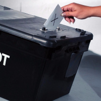 DTD: 199 - Aunty Chris gets scammed and Emmas is strong and stable at the polls