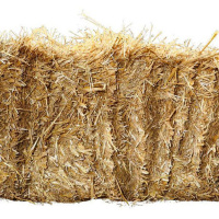 Dum Tee Dum Episode 85 – Andrew Horn takes the Helm