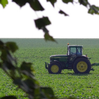 DTD: 286 - Adam and Ian go clubbing a charming episode