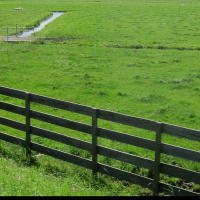 DTD: 355 - Hunting for action in Ambridge, its slim pickings this week