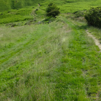 DTD 151: The return of Stefan