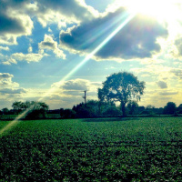 DTD 114 - Recorded on an iPhone