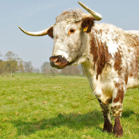 DTD 226: How low can the Aldridges sink?