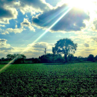 DTD: 249 A spookylicious horror show at Lower Loxley