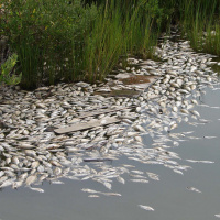 DTD: 208 is Toby growing up and is Brian going to serve time at her majestys pleasure?