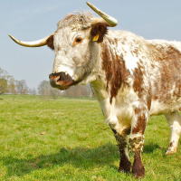 DTD: 214 - Coping with grief, loss and denial, listeners react to current threads in the Archers