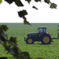 DTD: 254 more talk about Ambridge and naked threats