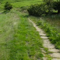 DTD: 250 - A very British understated episode