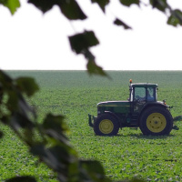 DTD: 263 - Boring gays, Roifield and New York Nigel get into a tussle