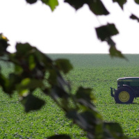 DTD: 183 - Kefir and a drunk Alice