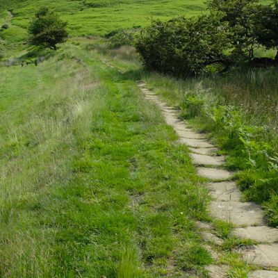 Dumteedum - A Show About The Bbc Show The Archers By Its Fans