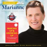 Waking Up and Growing Up with Diane Musho Hamilton