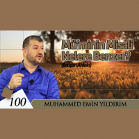 100. Mü’minin Misali Nelere Benzer?