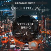 Digital Point - Night Pulse - Episode 031 [May 2017]