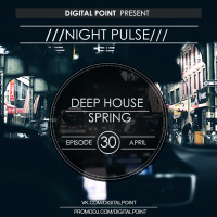 Digital Point - Night Pulse - Episode 030 [April 2017]