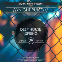 Digital Point - Night Pulse - Episode 029 [March 2017]