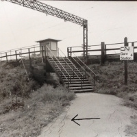 Who Killed Theresa #11 (this one goes to eleven)