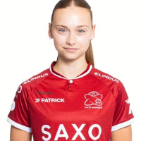 Lowies Vandekerkhove