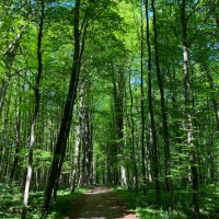 Kritisch interview schepen van milieu in Ninove Werner Somers