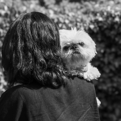 Oordop, Een Podcast Over Podcasts