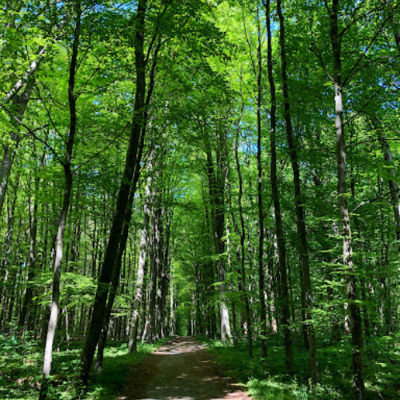 Oordop, Een Podcast Over Podcasts