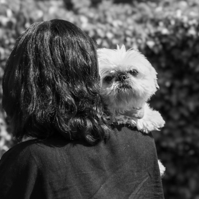 Oordop, Een Podcast Over Podcasts