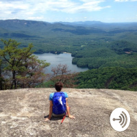 Harbison State Forest 