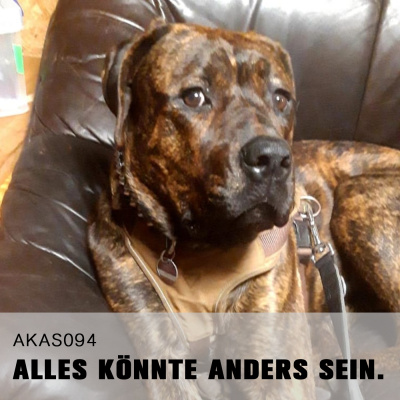 Alles Könnte Anders Sein.