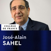 08 - Voir encore. La restauration visuelle en perspectives