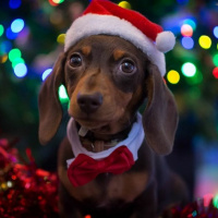 Christmas Love And Light