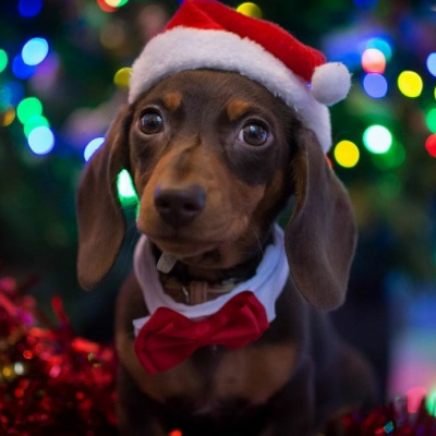 One Foot In The Crate With Colin Bradford