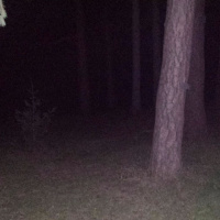 Episode 11 - I dont think theyre getting out of this one.