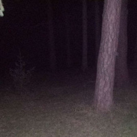 Episode 10 - Dale Midkiff is a Terminator