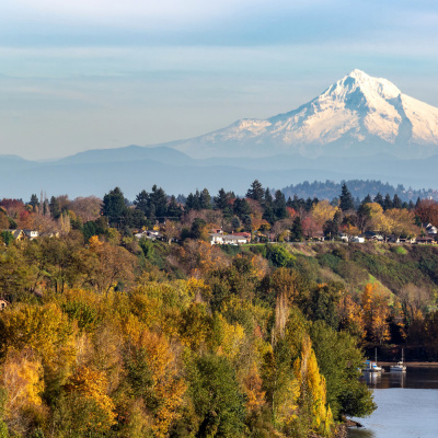 Small Town Dicks Podcast