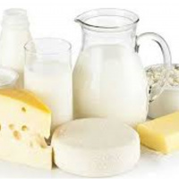 The Dangers of Dairy Products