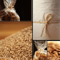 Talk at Zarahs Exclusive Vegan Restaurant