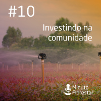 Minuto Florestal #10 - 24 - 12 - 2017 - Investindo Na Comunidade