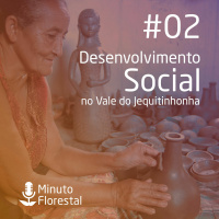Minuto Florestal #02 - Desenvolvimento social no Vale do Jequitinhonha