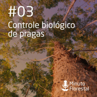 Minuto Florestal #03 - 06 - 11 - 2017 - Controle Biológico De Pragas