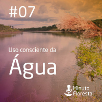 Minuto Florestal #07 - 03 - 12 - 2017 - Uso Consciente Da Água