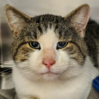 Furry Friday - Howard - 12-17-2021