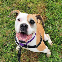 Vida - Furry Friday - 10-15-2021