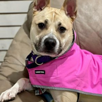 Evey - Furry Friday - 2-4-2022